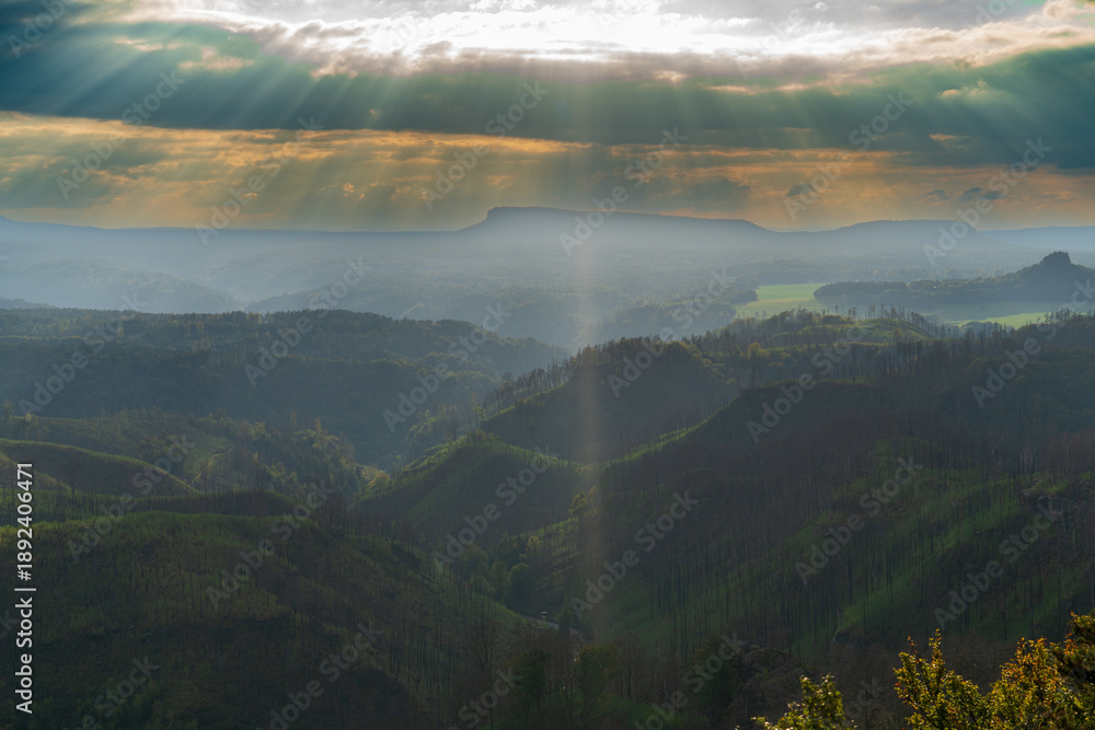Obraz premium Hrensko, Czech Republic, Bohemian Switzerland National Park three years after a massive forest fire. The landscape shows dead tree trunks and active regeneration with new greenery under cloudy skies.