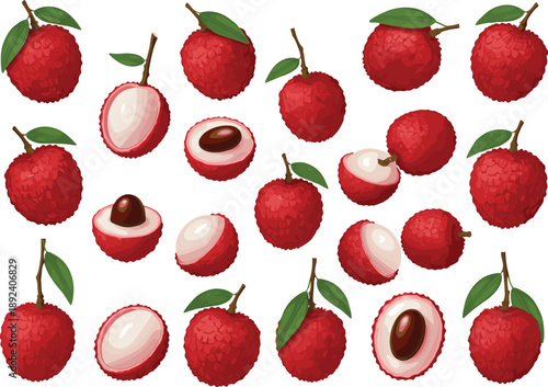 Fresh lychee fruit collection with whole and sliced tropical fruits realistic vector illustration