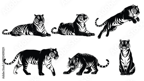 et of black tiger silhouettes in various poses including jumping, walking, and sitting, wild animal vector elements for nature design, mascot.