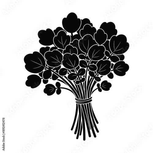 Black silhouette of a bunch of watercress tied with string isolated on  white Background