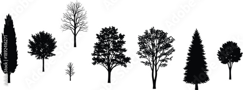 Set of various black tree silhouettes including pine, cypress, and deciduous species in different shapes and sizes isolated on a white background