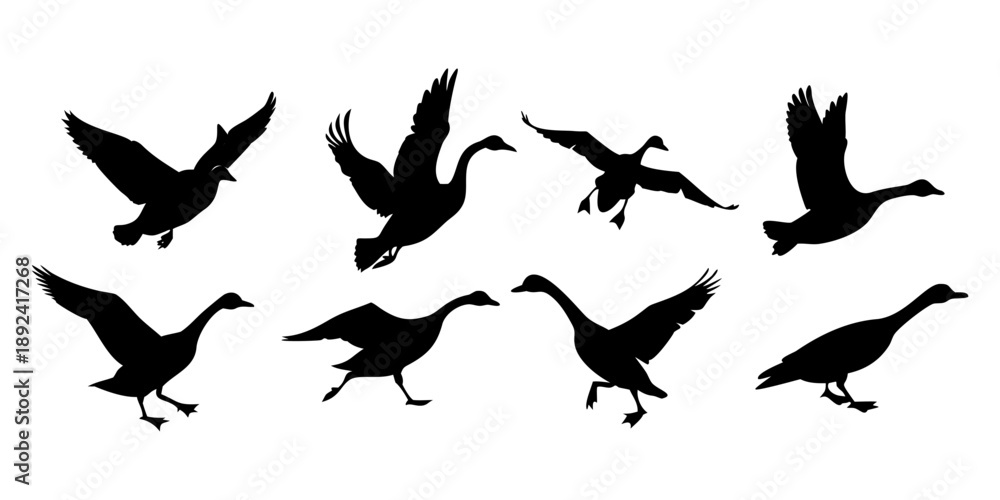 Obraz premium Flying Bird Silhouettes Collection – Black Bird Shapes in Motion on White Background.