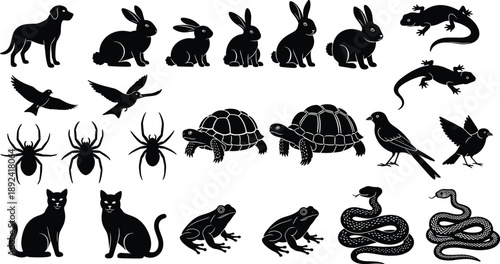 Animal silhouettes set with dog, rabbit, bird, reptile, insect and amphibian shapes, black wildlife icons isolated on white