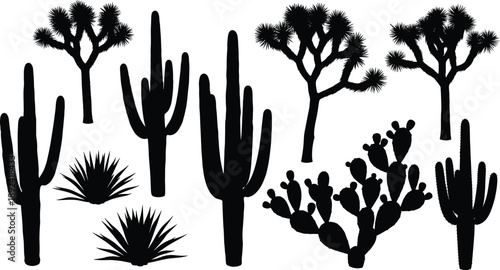 Desert cactus and Joshua tree silhouettes set with agave plants isolated on white background