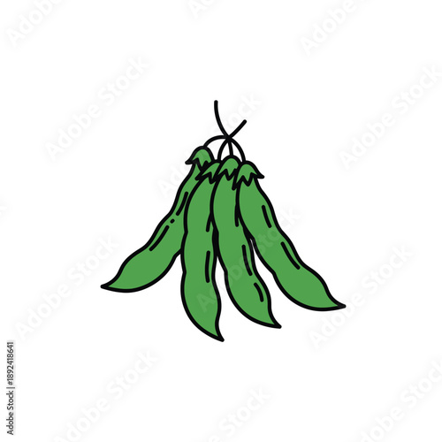 Green beans illustration with color on white background