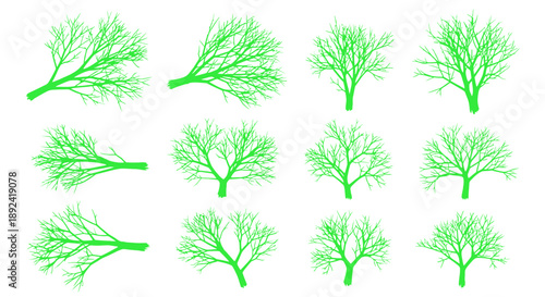 Watercolor Monstera Leaves Vector Set Tropical Green Foliage Decorative Elements