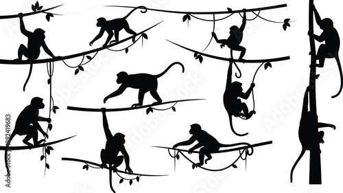 Monkey silhouettes climbing and swinging on jungle vines and branches isolated on white background