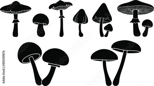 Mushroom silhouettes collection with various wild fungi shapes isolated on white background