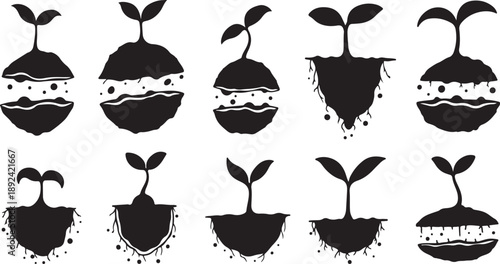 Plant Growth Stages Silhouette Icons Set on White Background