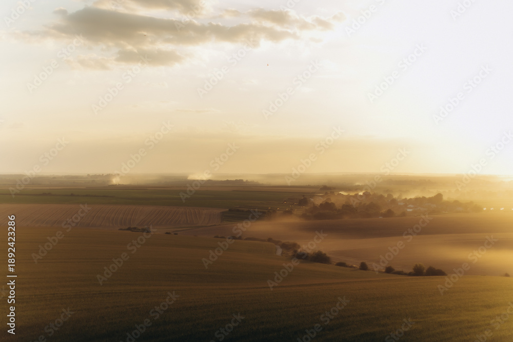 Fototapeta premium Rural landscape with fields and trees during morning golden hour