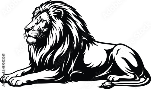 Majestic lion portrait vector illustration