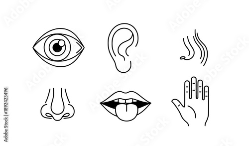 Five Human Senses Vector Icon Set EPS10