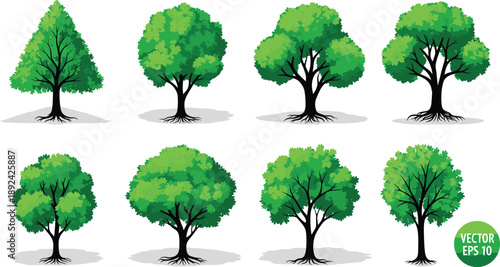Set of green leafy trees with different shapes and canopies, natural forest elements vector illustration