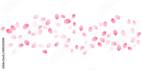 Sakura cherry petals, pink apricot flowers falling wavy border. Vector background