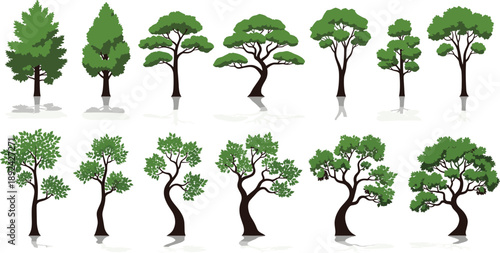 Collection of stylized green trees with different shapes and growth stages isolated on white background vector set