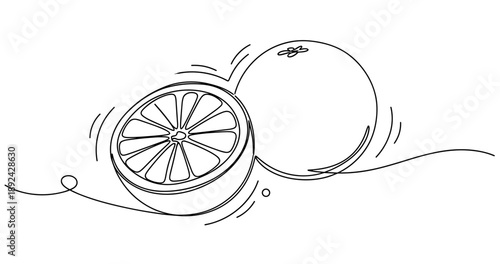 Minimalist citrus line art: sliced and whole orange illustration. Non editable stroke