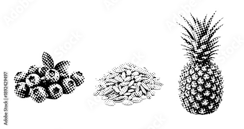 Halftone illustration of blueberries, almonds, pineapple in black and white