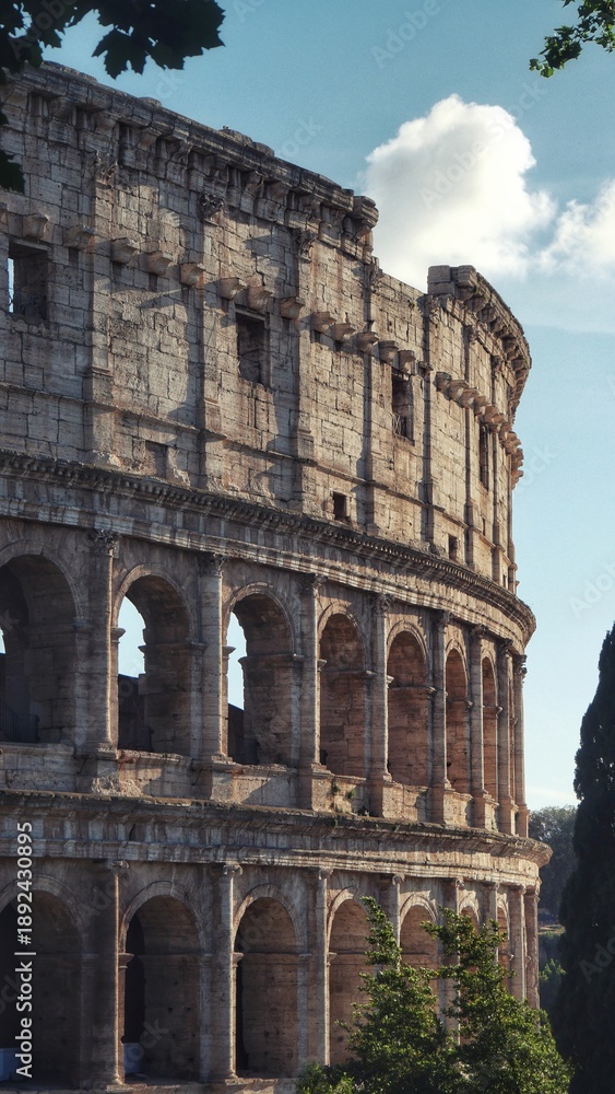Fototapeta premium The Roman Colosseum