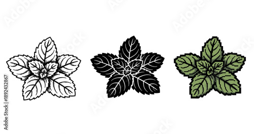 Trio of mint leaf illustrations: line art, silhouette, and pixel art variations