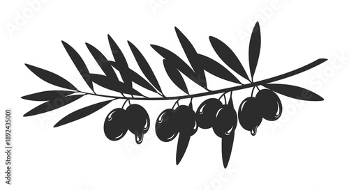 A detailed black silhouette of an olive branch with several round olives hanging from it silhouette high quality