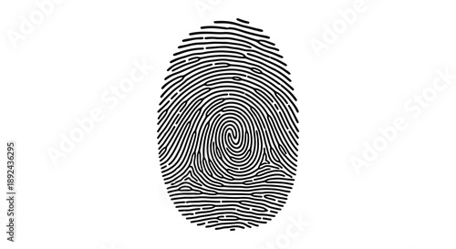 An abstract representation of a fingerprint showcasing intricate ridge details and a dark outline silhouette high quality professional