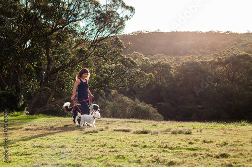 Photography Woman walking two dogs in a sunny Australian landscape at dusk