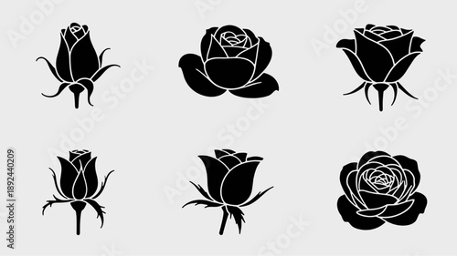 Rose Silhouette Collection: A visually striking collection of six distinct rose silhouettes, each capturing the delicate beauty of the iconic flower from various angles.