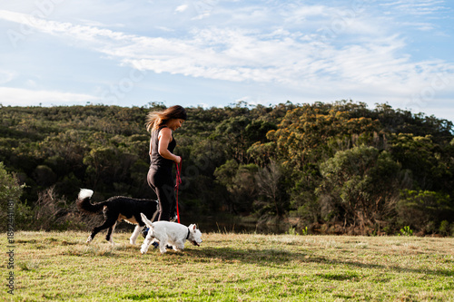 Photography Enjoying a peaceful walk with two dogs in the Australian countryside