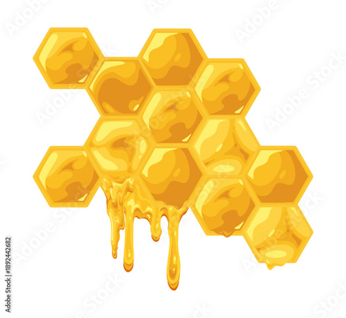 Honey dripping from honeycomb