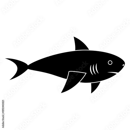 Shark vector icon. Fish Illustration sign. Ocean life symbol or logo.
