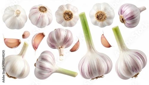 Wallpaper Mural Assortment of fresh, whole and clove examples of an allium bulb Torontodigital.ca