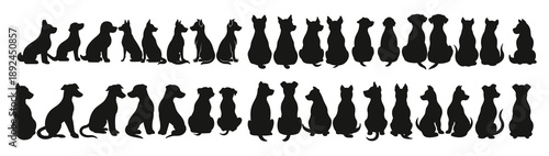 back sitting dogs back of dog silhouettes dogs sitting