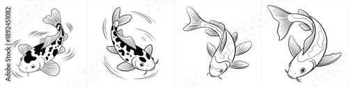 four detailed japanese koi fish carp illustrations swimming in different poses black and white clipart design vector illustration artwork
