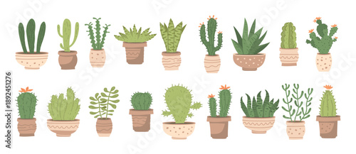 Set of cactus houseplants
