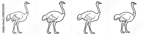 hand drawn ostrich bird standing profile sketch set black and white clipart design vector illustration artwork
