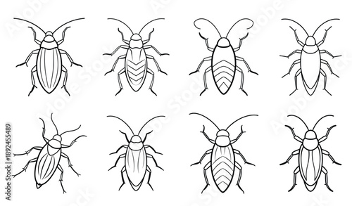 Eight Line Drawings of Cockroaches Different Body Patterns