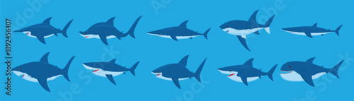 set of shark species funny illustration