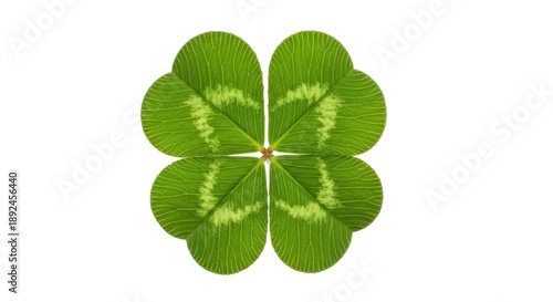 Four-leaf clover PNG isolated on transparent background, lucky charm symbol of St Patrick s Day and Irish culture, botanical element