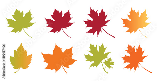 fall autumn leaves icon creative layout set of maple leaves