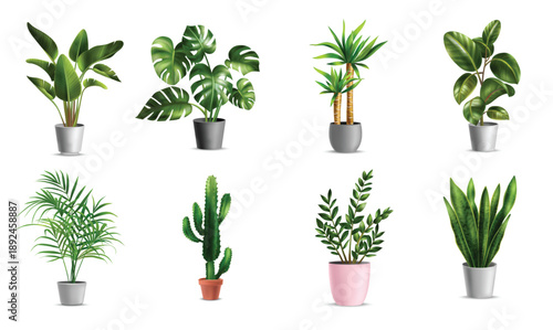 Realistic House Plants Set