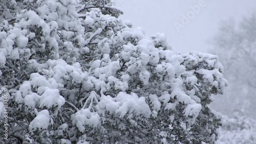 A dense snowfall blankets the woodland, with branches bending under the weight of fresh snow.