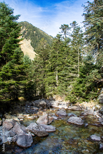 Randonnée en montagne