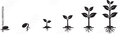 Plant Growth Stages Icons – Seed to Young Plant Silhouette Set