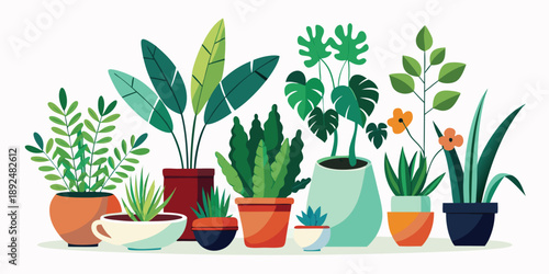 A diverse collection of green potted houseplants of various shapes and sizes.
