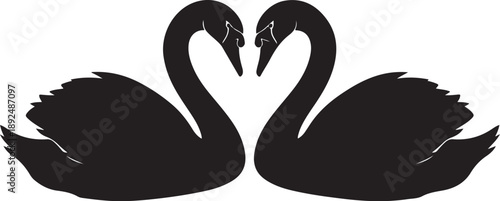 Two black swans forming a heart shape together forever