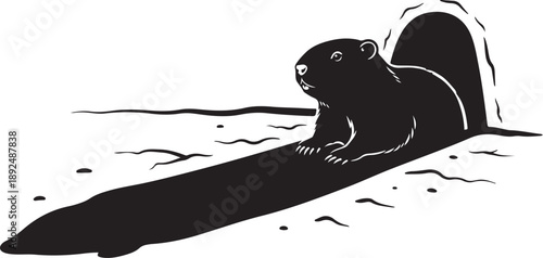 Black and white beaver on a surfboard illustration