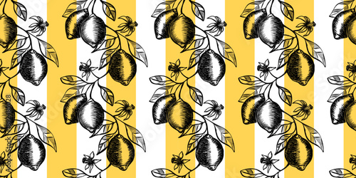 Seamless pattern with hand drawn lemon branches on striped background. Contemporary minimal art. Sketch illustration, vintage charcoal style. Best for fabric, wrapping paper, package, menu design