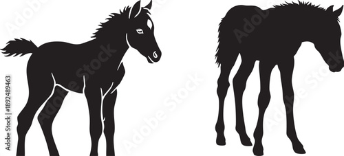 Two black silhouettes of young horses or foals, vector illustration