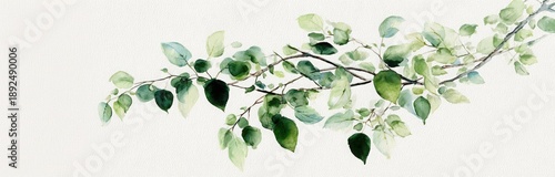 Horizontal watercolour composition of fresh green leaves branch, airy light background, spring freshness, soft pastel tones