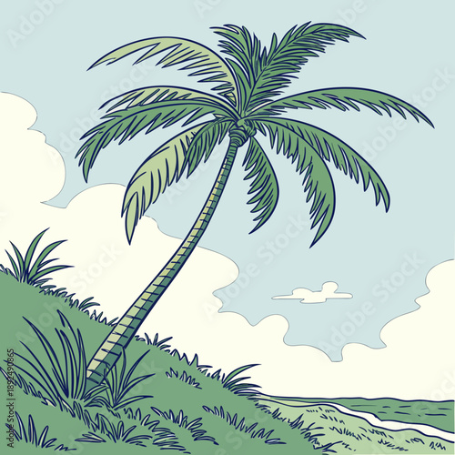 tropical island with palms